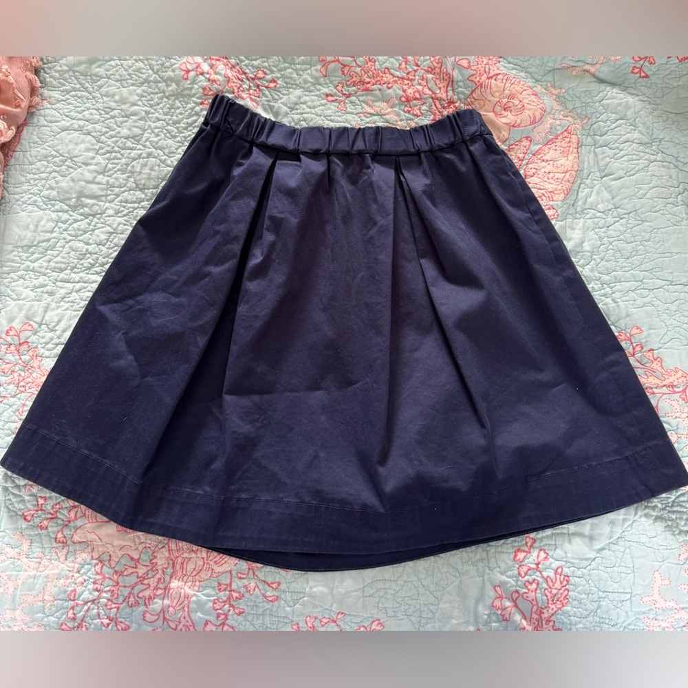 Crew cuts navy skirt.